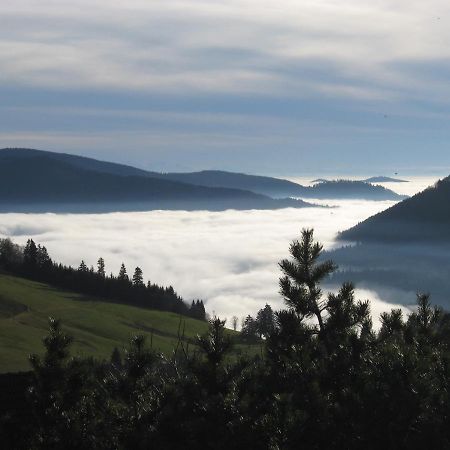 Schoene Aussicht Todtnau Esterno foto