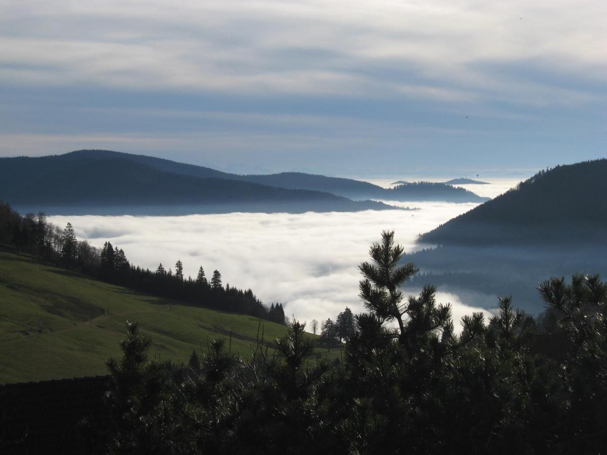 Schoene Aussicht Todtnau Esterno foto