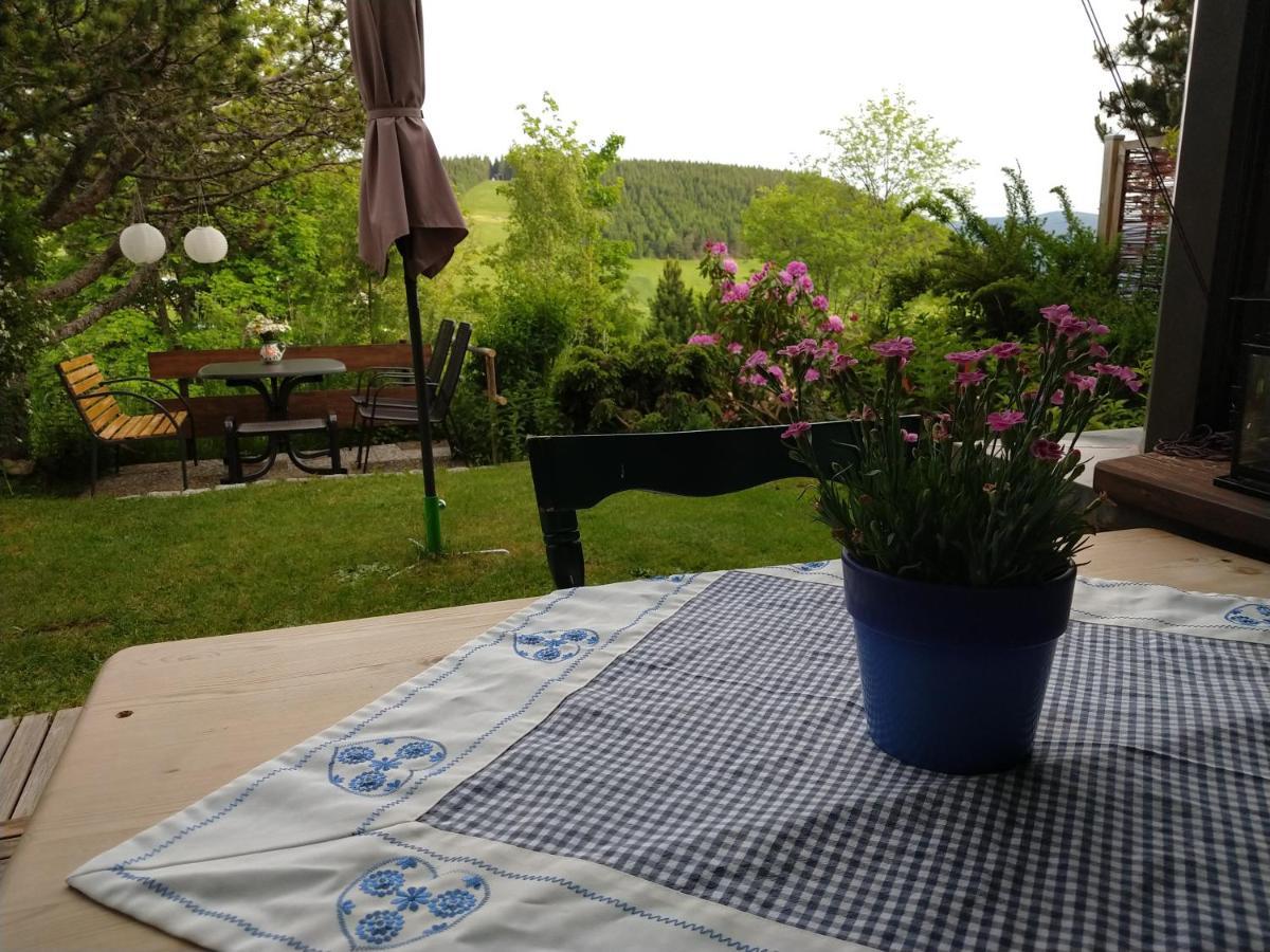 Schoene Aussicht Todtnau Esterno foto