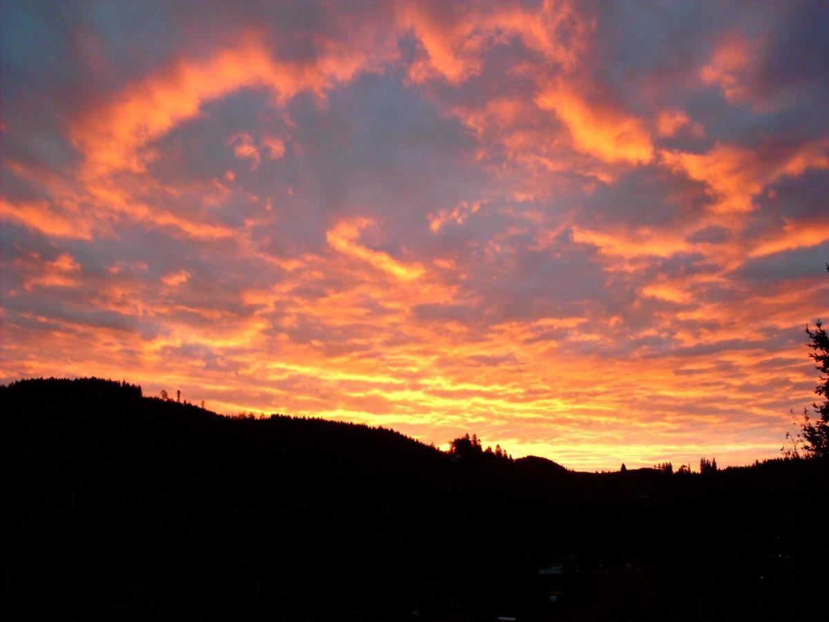 Schoene Aussicht Todtnau Esterno foto
