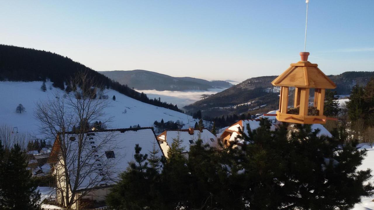 Schoene Aussicht Todtnau Esterno foto