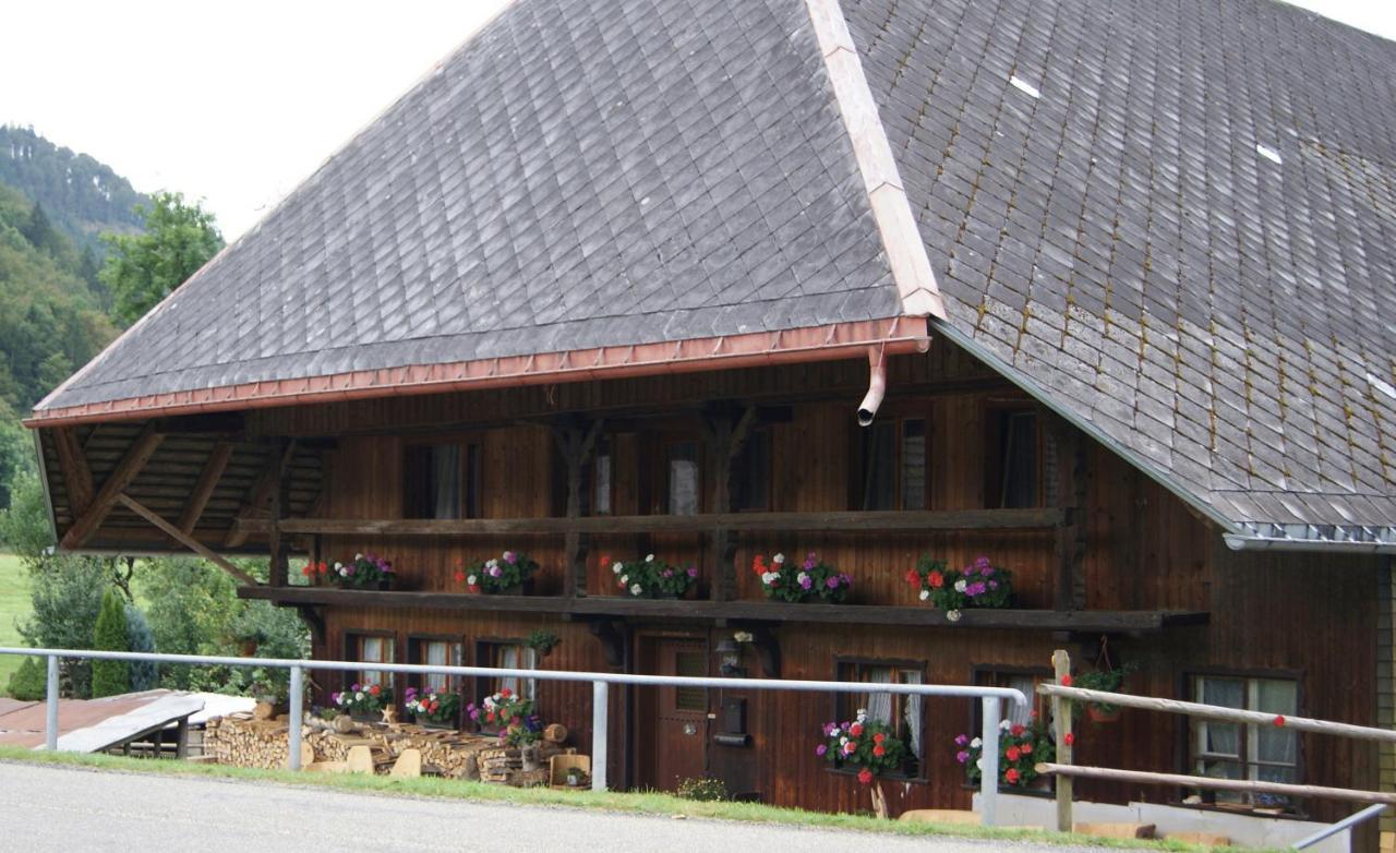 Schoene Aussicht Todtnau Esterno foto
