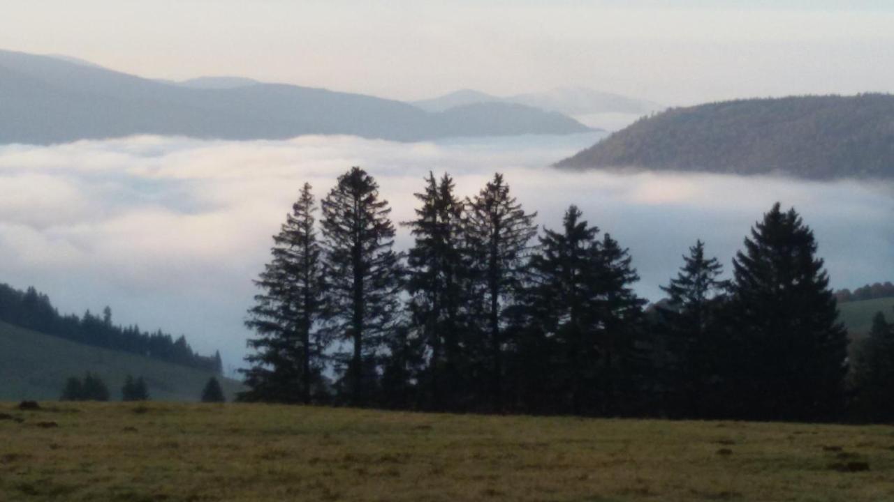 Schoene Aussicht Todtnau Esterno foto