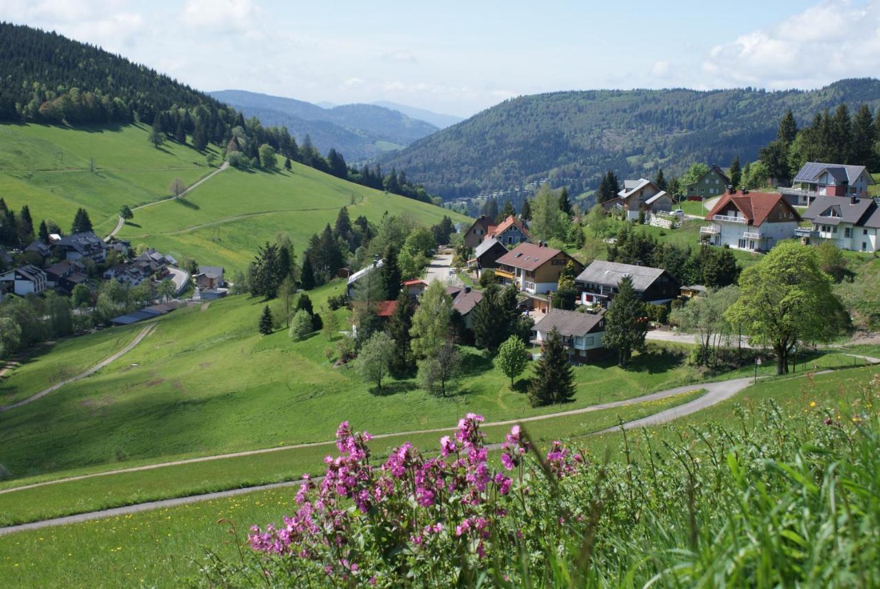 Schoene Aussicht Todtnau Esterno foto