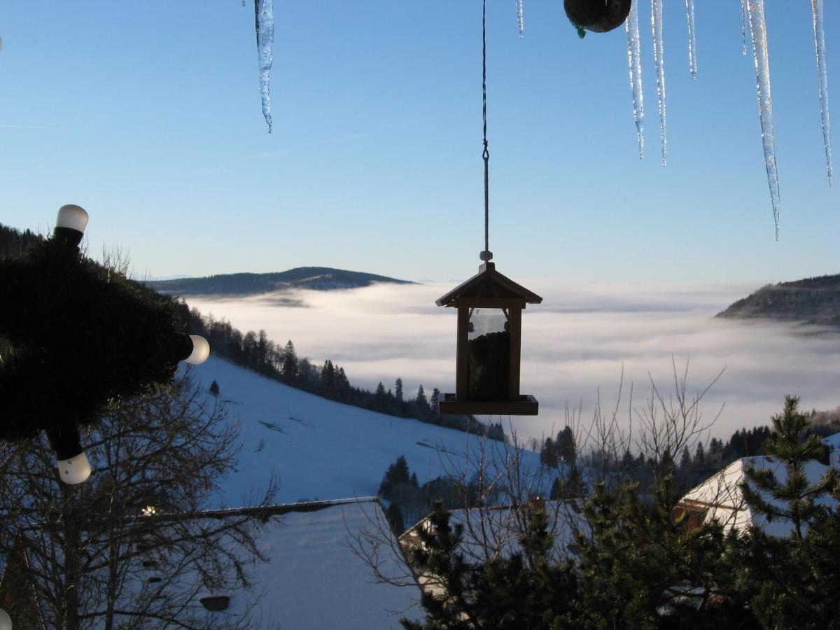 Schoene Aussicht Todtnau Esterno foto