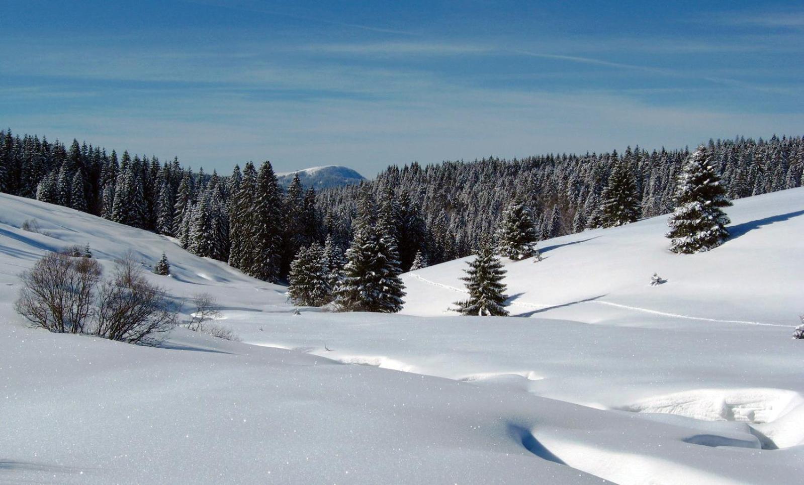 Schoene Aussicht Todtnau Esterno foto
