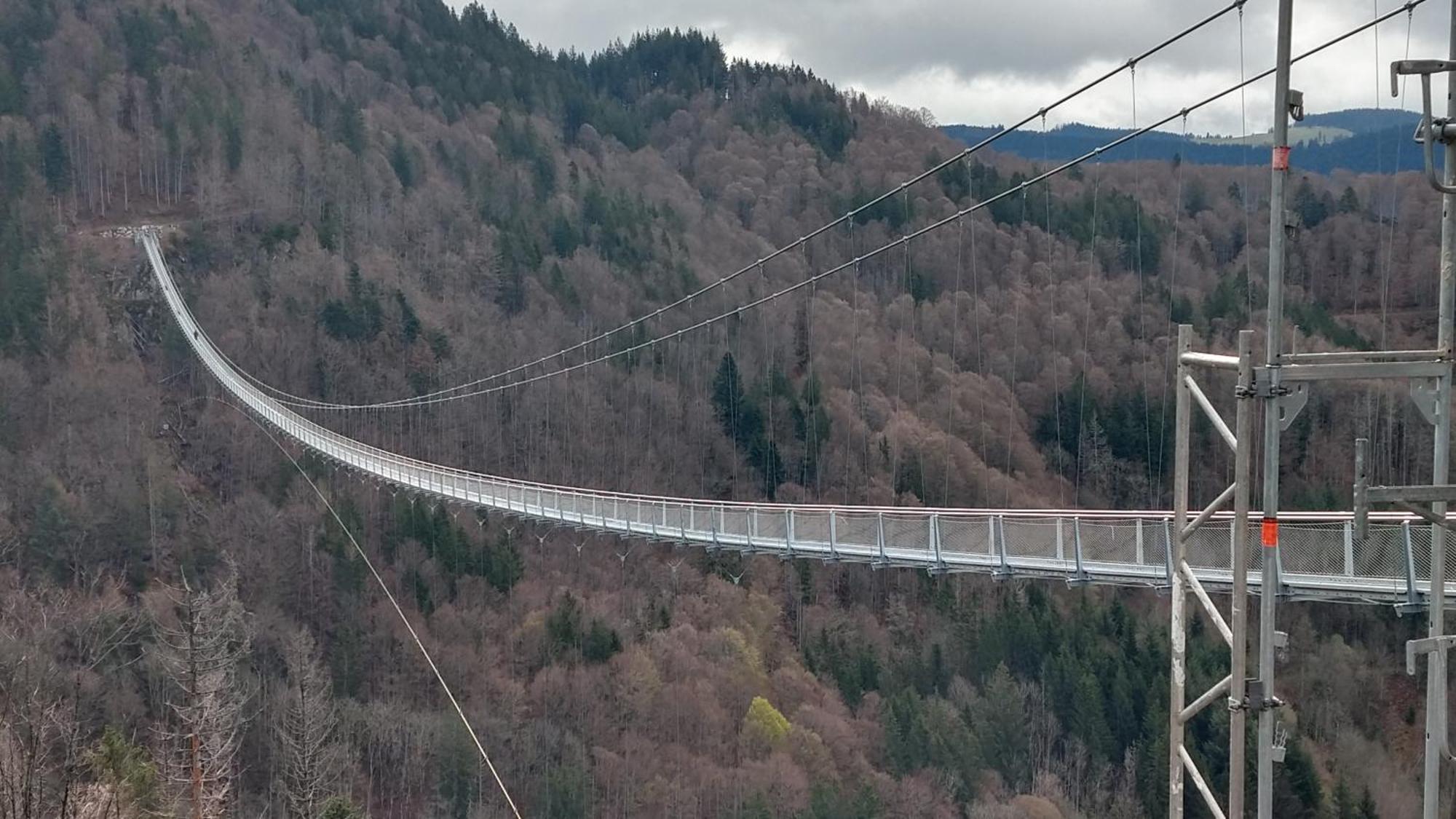 Schoene Aussicht Todtnau Esterno foto