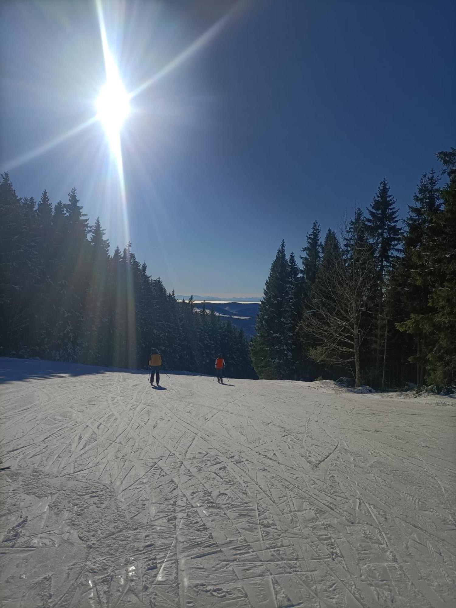 Schoene Aussicht Todtnau Esterno foto